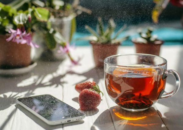 دمنوش های گیاهی